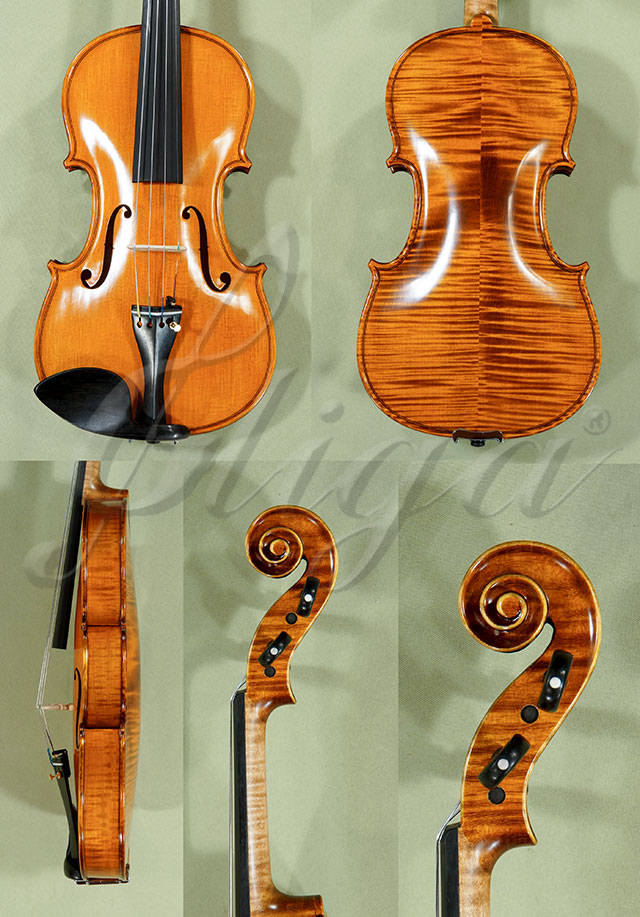 4/4 PROFESSIONAL GAMA Violin  * Code: C9032