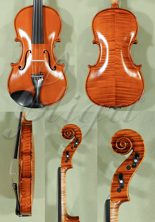 4/4 PROFESSIONAL GAMA Violin  * Code: C9033
