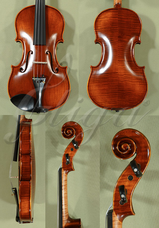 Antiqued 4/4 PROFESSIONAL GAMA Violin  * Code: C9039