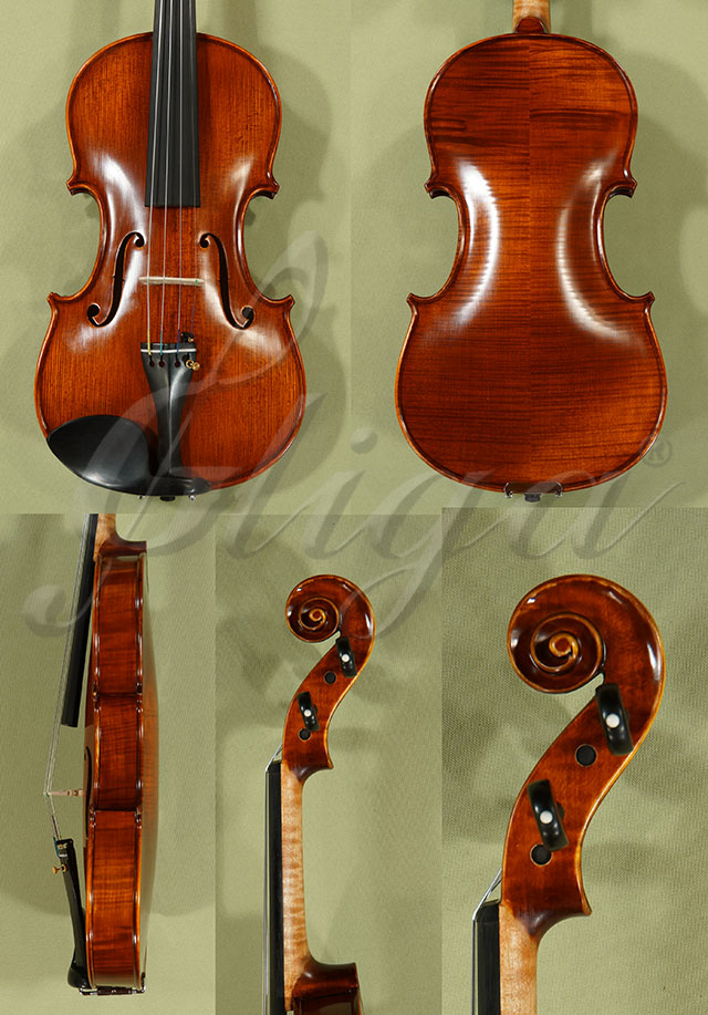 Antiqued 4/4 PROFESSIONAL GAMA Violin  * Code: C9042
