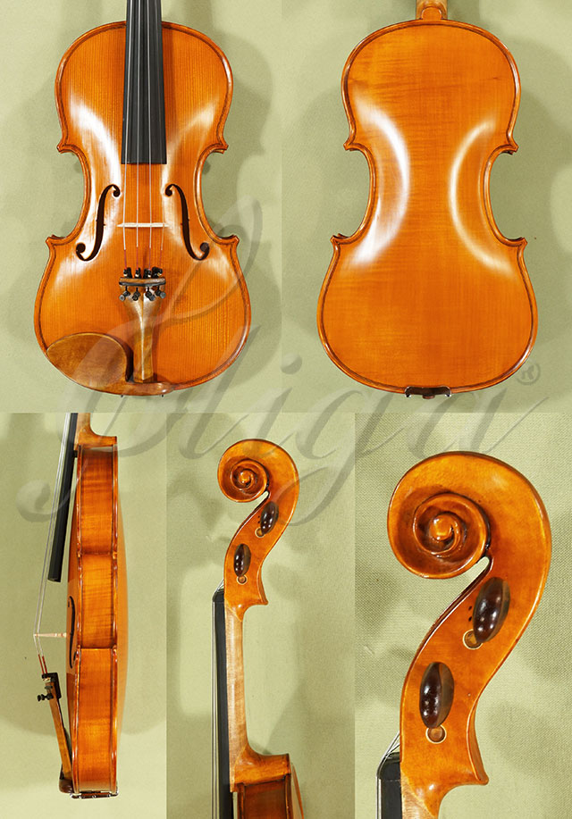 Antiqued 4/4 Student GLORIA 1 One Piece Back Violin  * Code: C9045