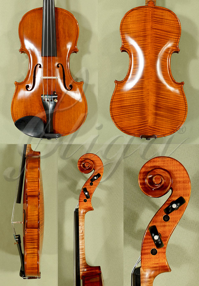 4/4 PROFESSIONAL GAMA Violin  * Code: C9057