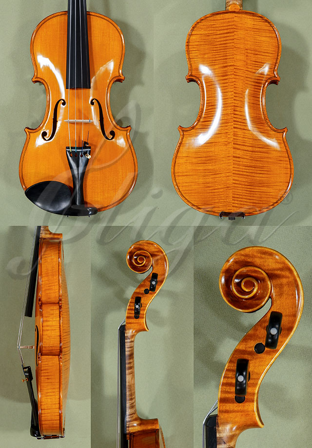 4/4 PROFESSIONAL GAMA Violin  * Code: C9061