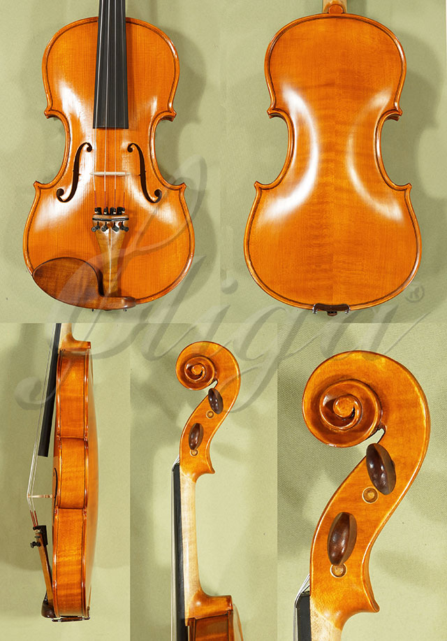 Antiqued 4/4 Student GLORIA 1 Violin  * Code: C9072