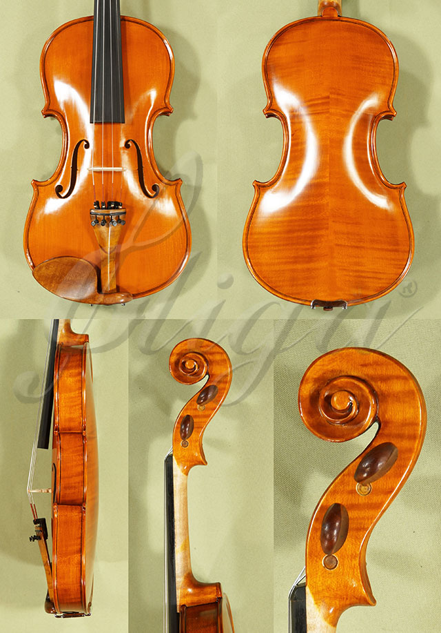 Antiqued 4/4 Student GLORIA 1 Violin  * Code: C9073