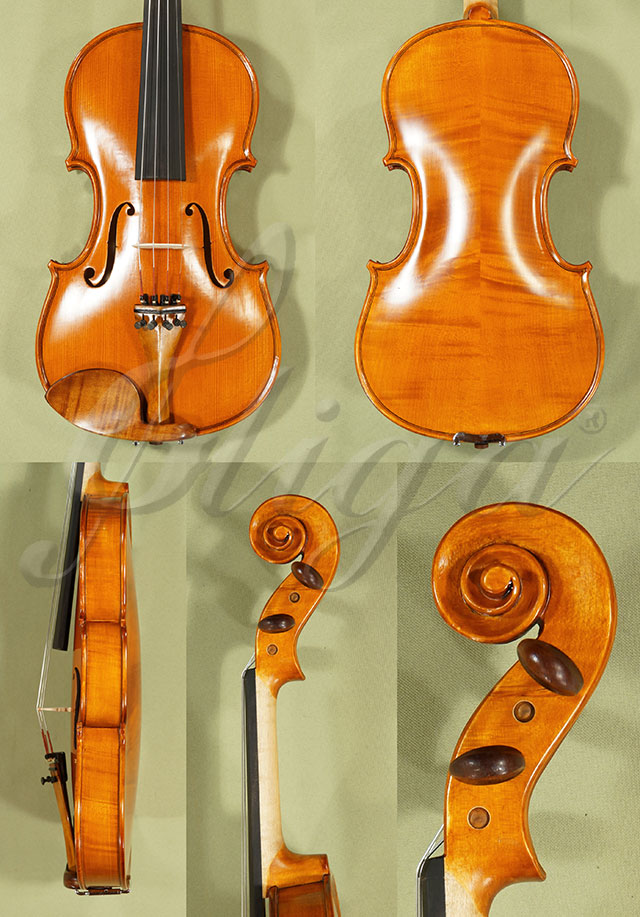Antiqued 4/4 Student GLORIA 1 Violin  * Code: C9074