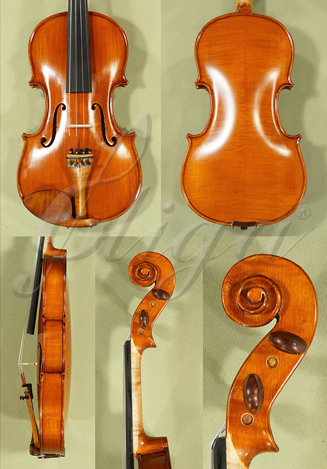 Antiqued 4/4 Student GLORIA 1 Violin  * Code: C9075