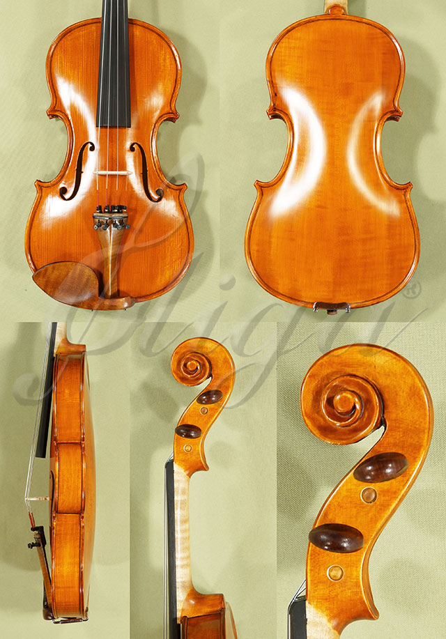 Antiqued 4/4 Student GLORIA 1 Violin  * Code: C9076