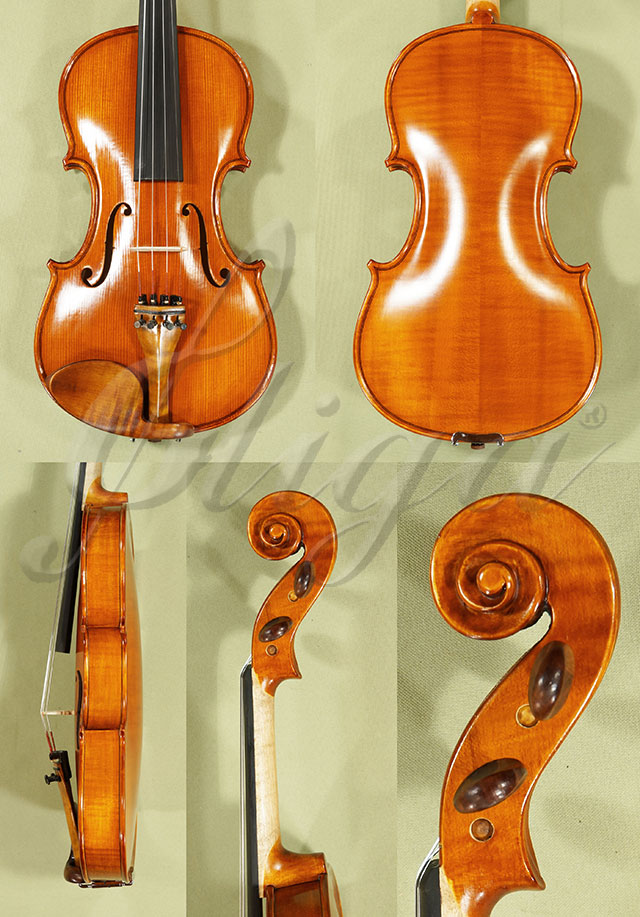 Antiqued 4/4 Student GLORIA 1 Violin  * Code: C9077