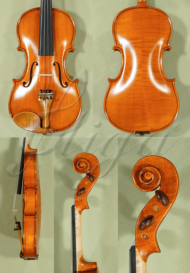Antiqued 4/4 Student GLORIA 1 Violin  * Code: C9078