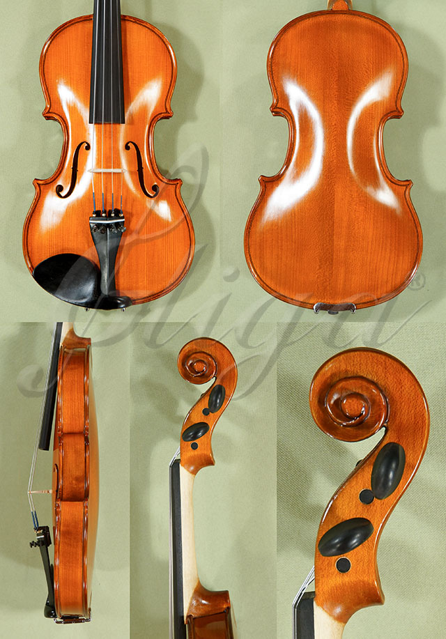 1/2 School GENIAL 1-Oil Violin  * Code: C9125