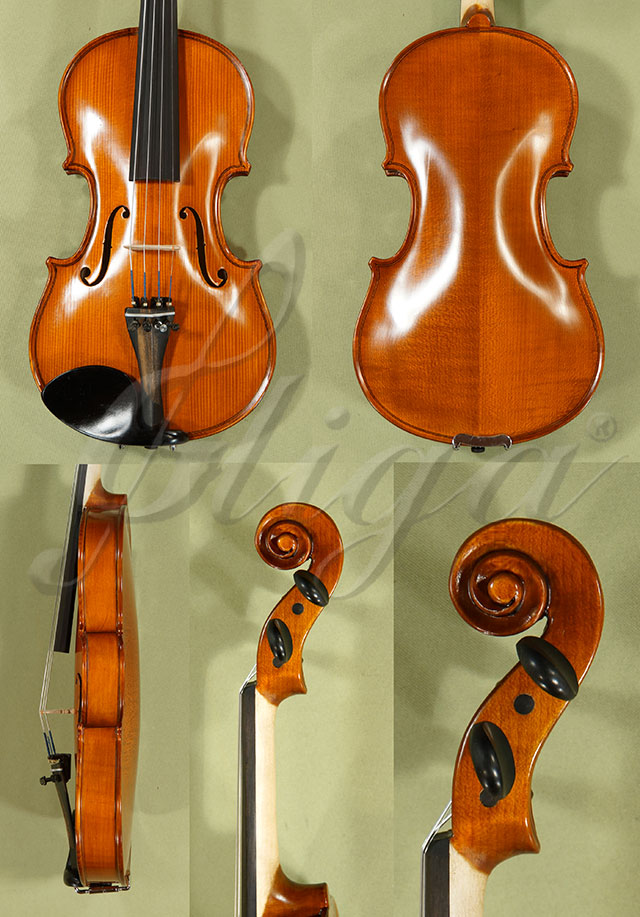 1/2 School GENIAL 1-Oil Violin  * Code: C9127