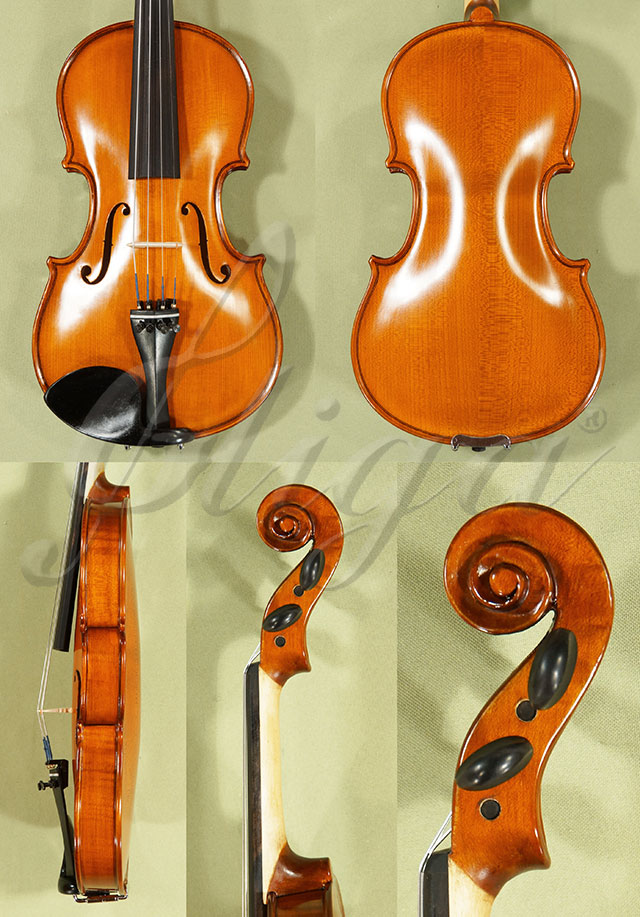 1/2 School GENIAL 1-Oil Violin  * Code: C9130