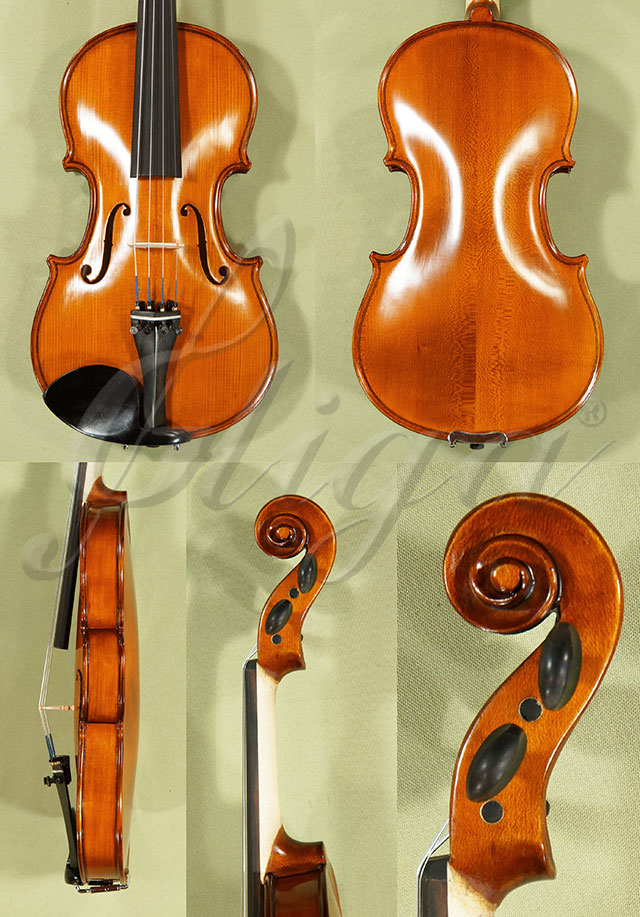 1/2 School GENIAL 1-Oil Violin  * Code: C9131