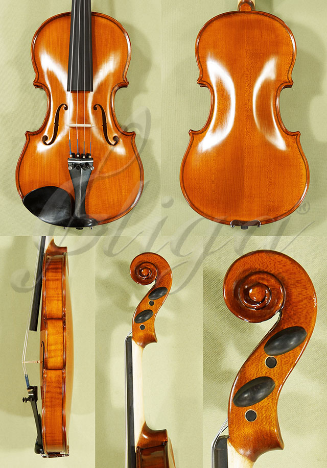 1/2 School GENIAL 1-Oil Violin  * Code: C9135