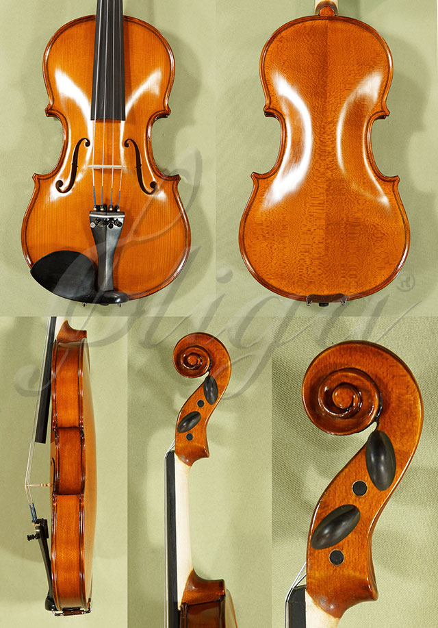 1/2 School GENIAL 1-Oil Violin  * Code: C9136