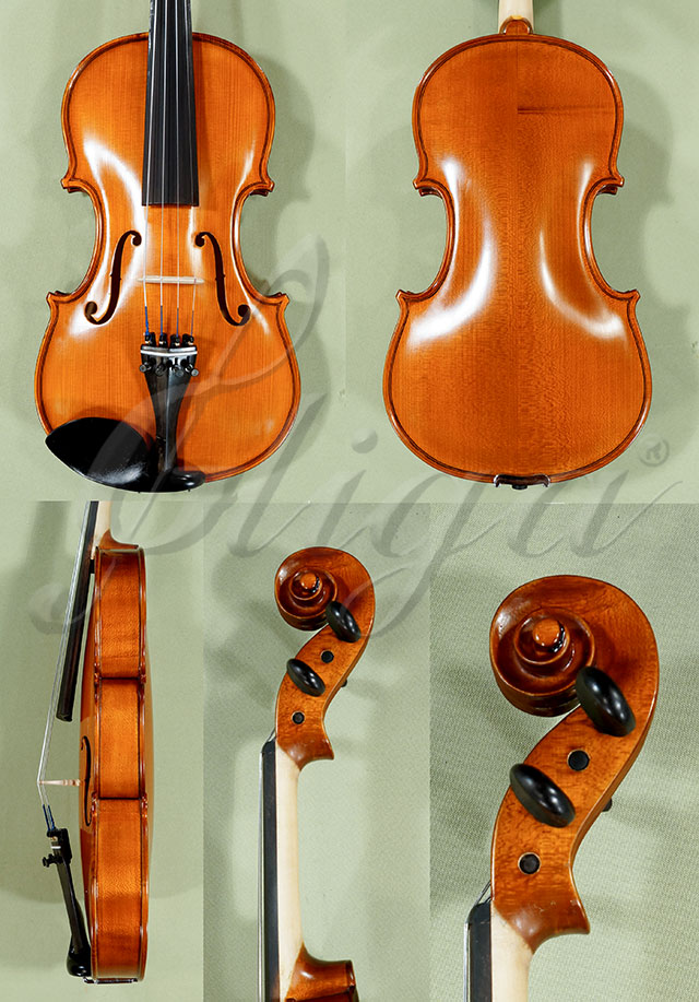 4/4 School GENIAL 1-Oil Violin  * Code: C9147