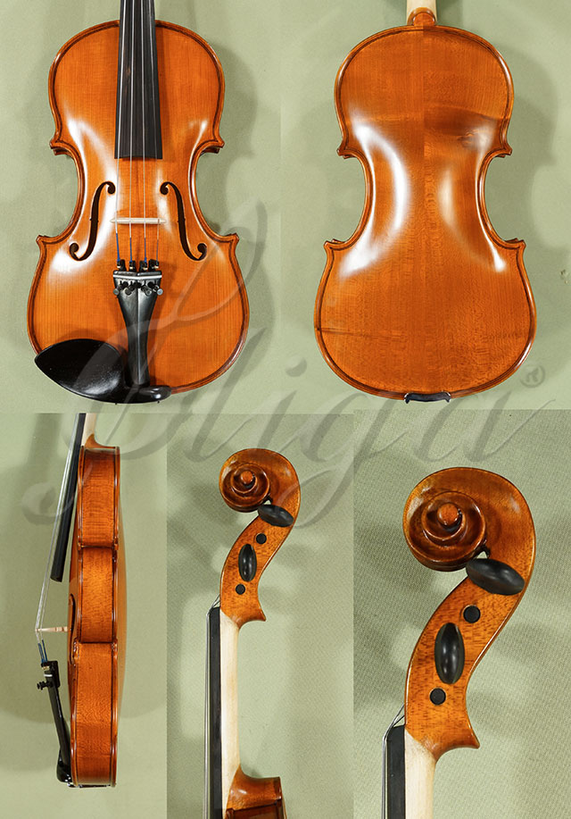 4/4 School GENIAL 1-Oil Violin  * Code: C9149