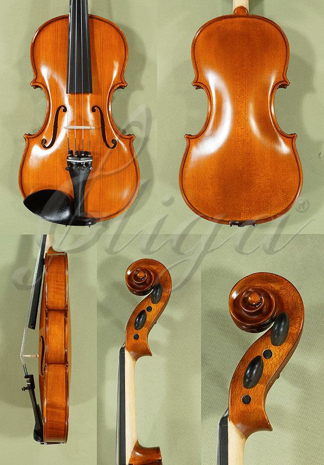 4/4 School GENIAL 1-Oil Violin  * Code: C9151