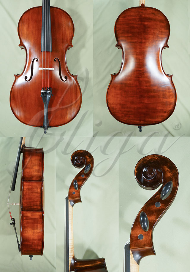 Stained Antiqued 4/4 Student GEMS 2 Cello  * Code: C9209