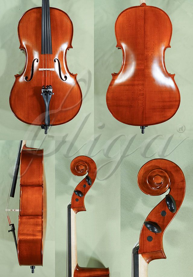 3/4 School GENIAL 1-Oil Cello  * Code: C9254