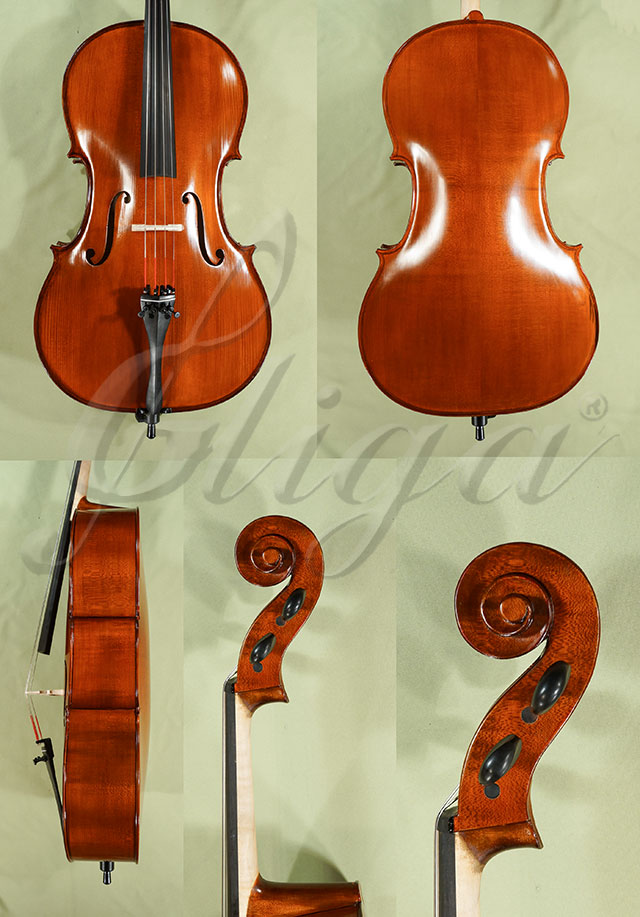 3/4 School GENIAL 1-Oil Cello  * Code: C9257