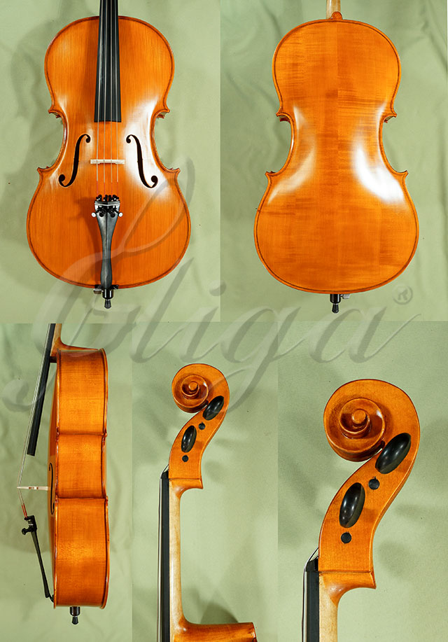 Antiqued 1/2 Student GEMS 2 Cello * Code: C9276