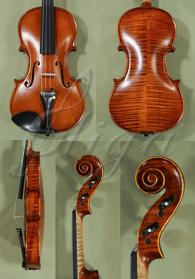 Antiqued 4/4 PROFESSIONAL GAMA Violin  * Code: C9295