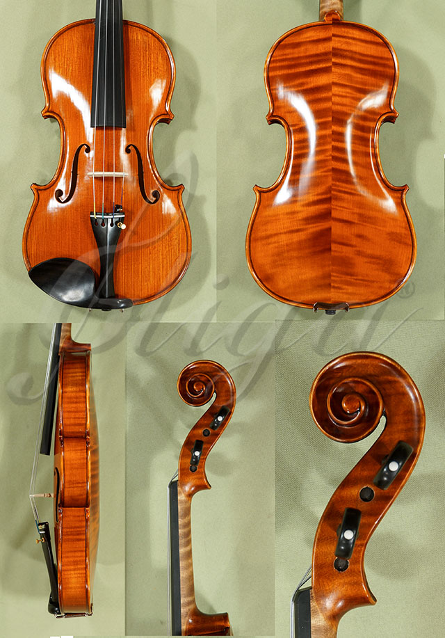 Antiqued 4/4 PROFESSIONAL GAMA Violin  * Code: C9308