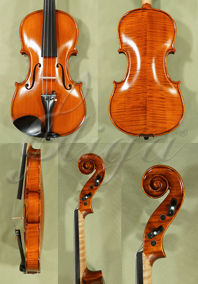 Antiqued 4/4 PROFESSIONAL GAMA Violin  * Code: C9336