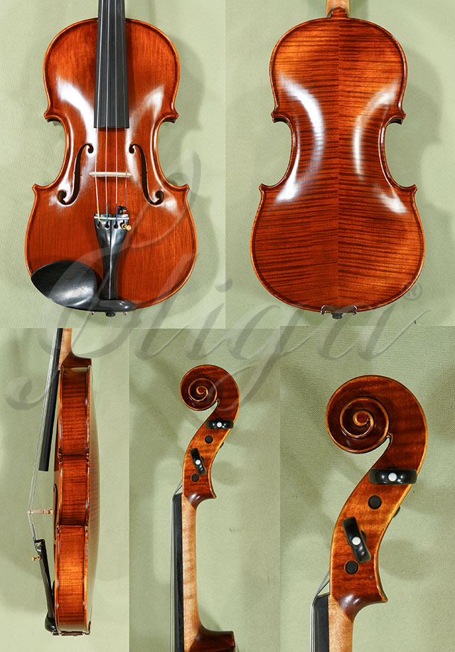 Antiqued 4/4 PROFESSIONAL GAMA Violin  * Code: C9359