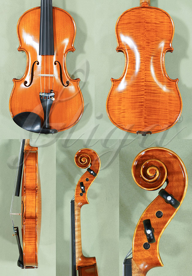 4/4 PROFESSIONAL GAMA Violin  * Code: C9366