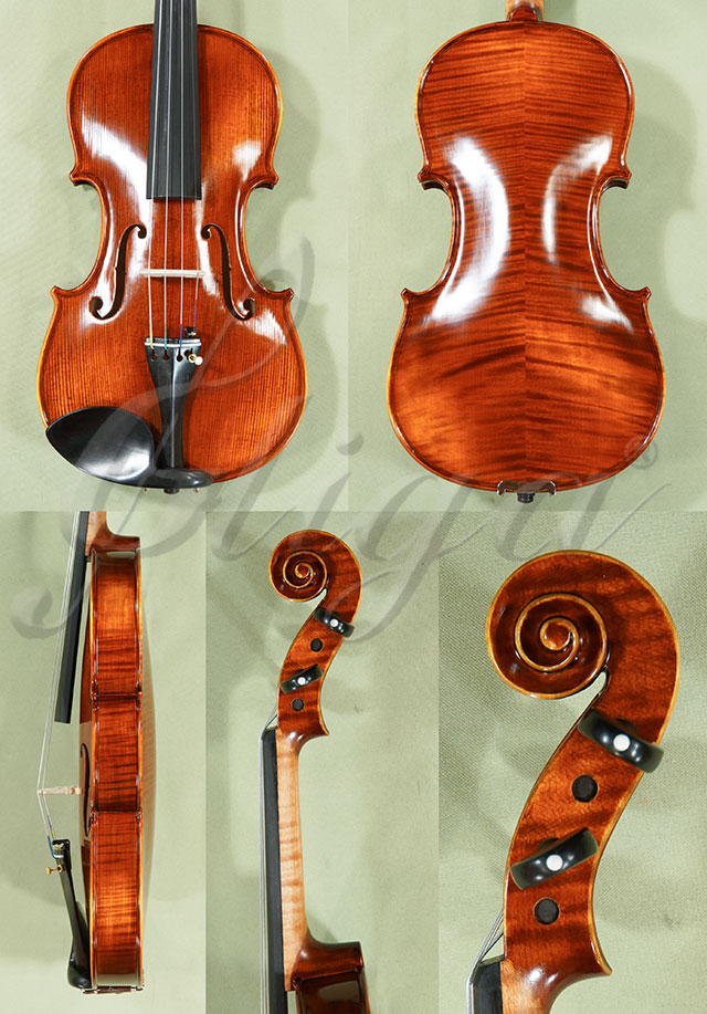 Antiqued 4/4 PROFESSIONAL GAMA Violin  * Code: C9370