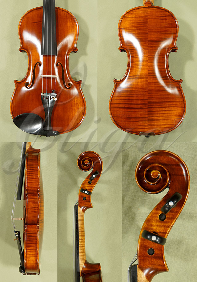Antiqued 4/4 PROFESSIONAL GAMA Violin  * Code: C9372