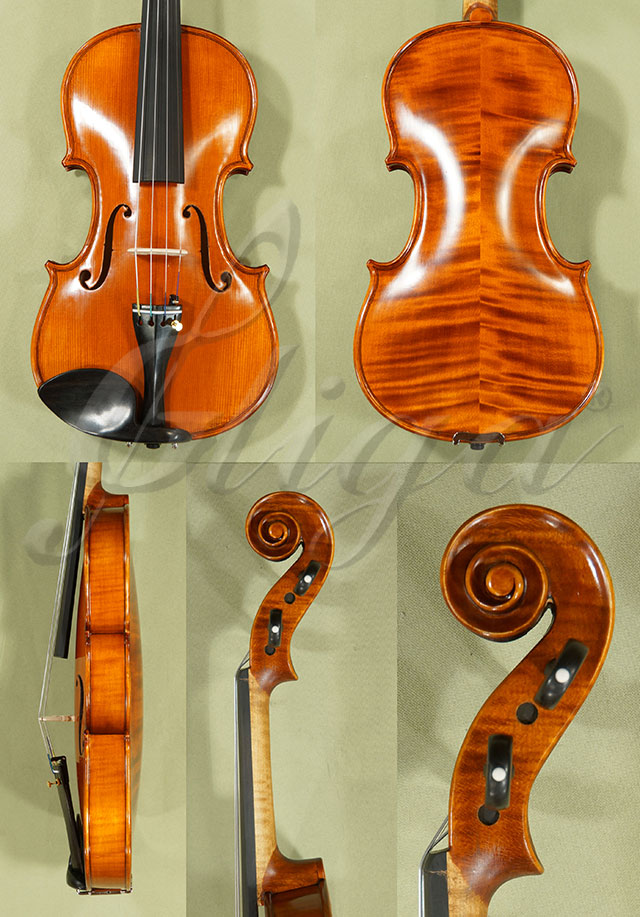 Antiqued 4/4 PROFESSIONAL GAMA Violin  * Code: C9376