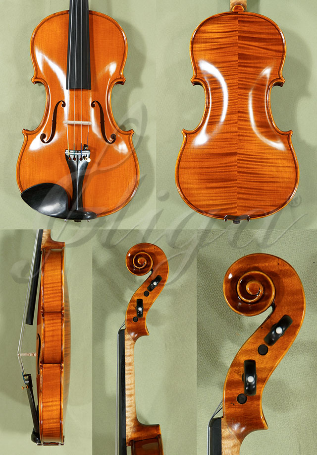 Antiqued 4/4 PROFESSIONAL GAMA Violin  * Code: C9380