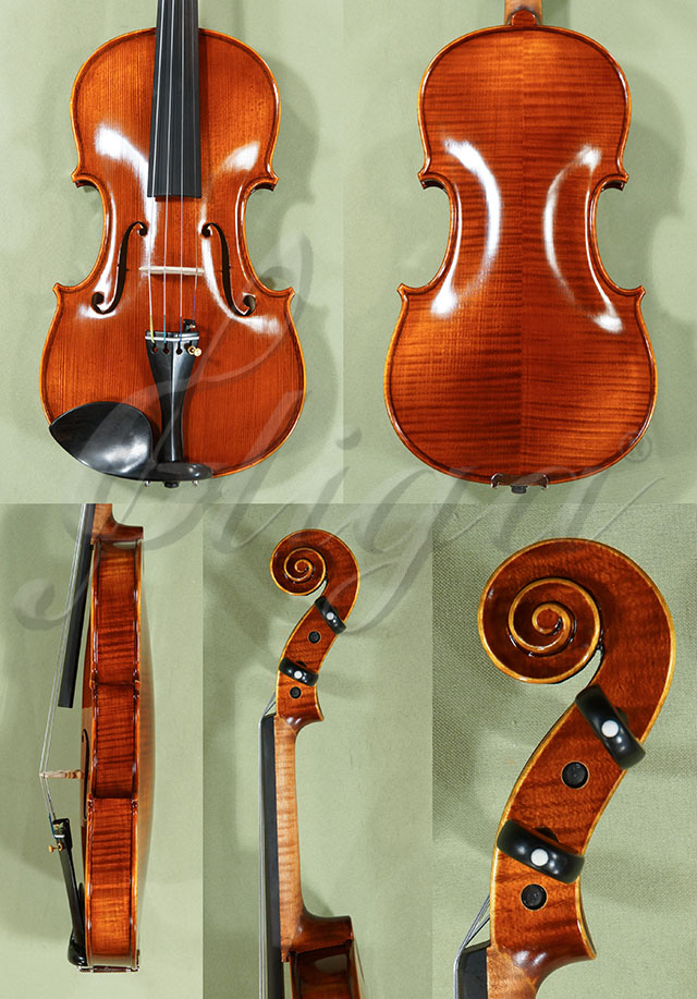 Antiqued 4/4 PROFESSIONAL GAMA Violin  * Code: C9391