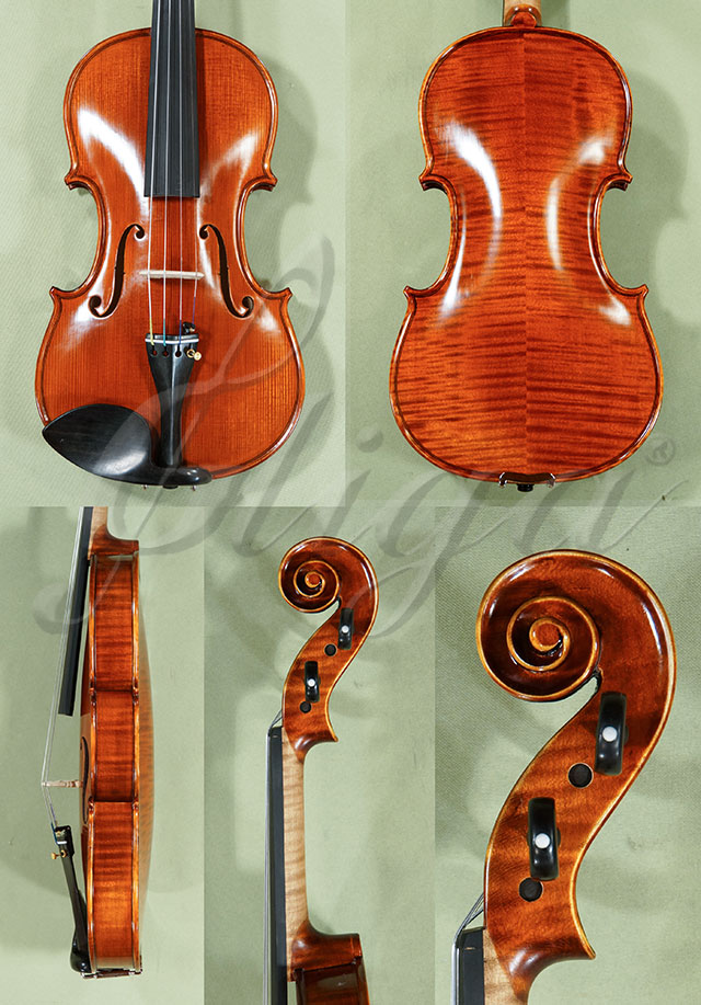 Antiqued 4/4 PROFESSIONAL GAMA Violin  * Code: C9395