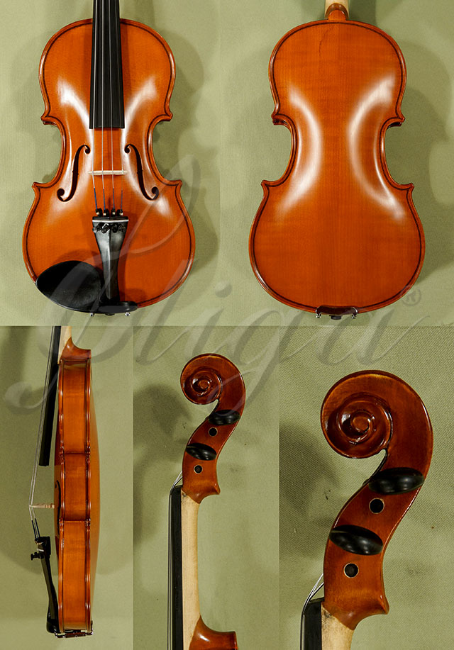 1/2 School GENIAL 1-Oil Violin  * Code: C9624