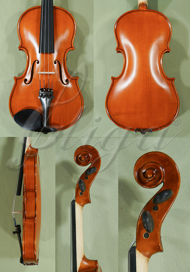 1/2 School GENIAL 1-Oil Violin  * Code: C9628