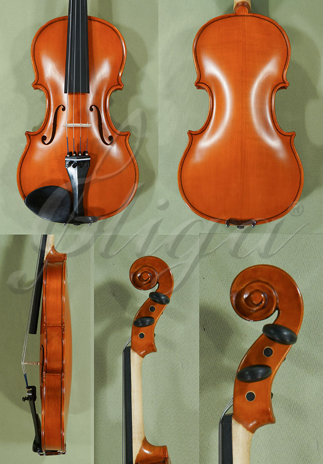 1/2 School GENIAL 1-Oil Violin  * Code: C9629