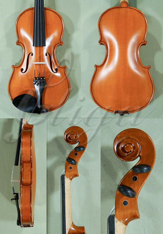 1/2 School GENIAL 1-Oil Violin * Code: C9632