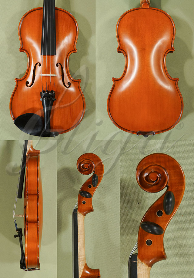 1/2 School GENIAL 1-Oil Violin  * Code: C9634