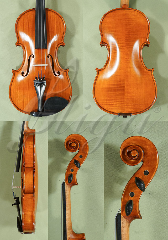 4/4 School GENIAL 1-Oil Left Handed Violin * Code: C9681