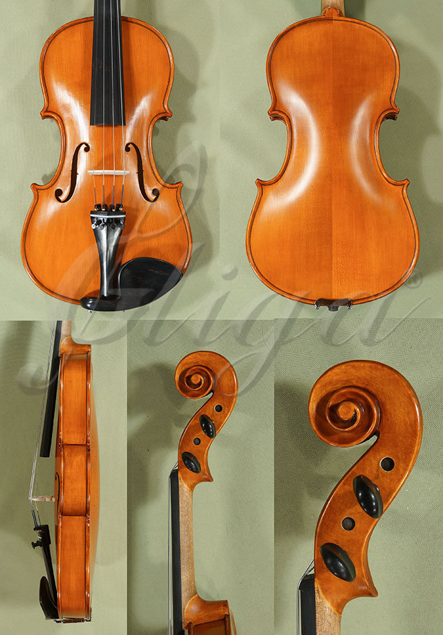 4/4 School GENIAL 1-Oil Left Handed Violin * Code: C9682
