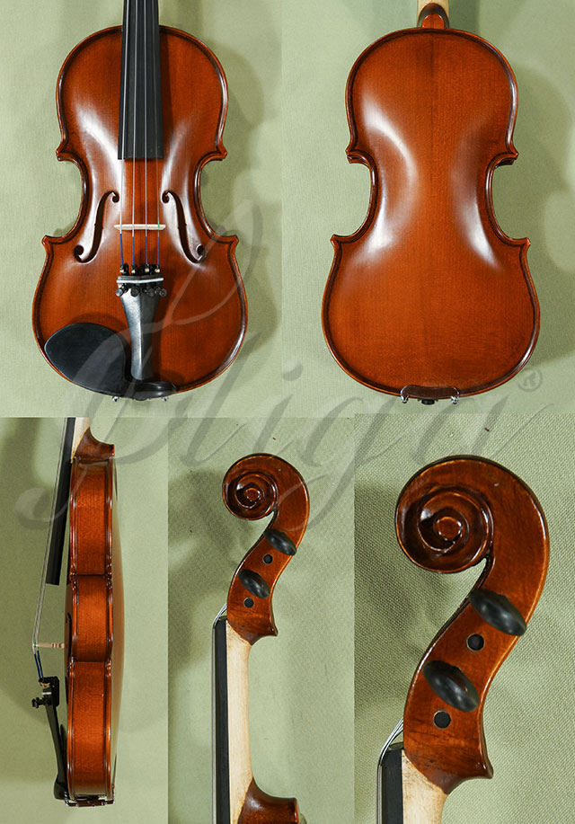 1/4 School GENIAL 1-Oil Violin  * Code: C9691