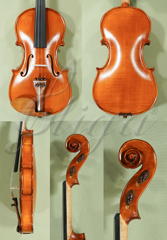 4/4 Student GLORIA 1 Violin  * Code: C9714