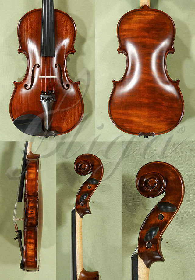 Stained Antiqued 4/4 Student GEMS 2 Violin  * Code: C9721