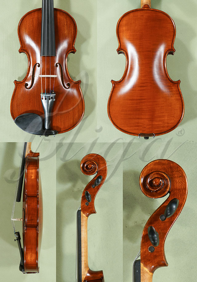 Antiqued 4/4 WORKSHOP GEMS 1 One Piece Back Violin  * Code: C9918