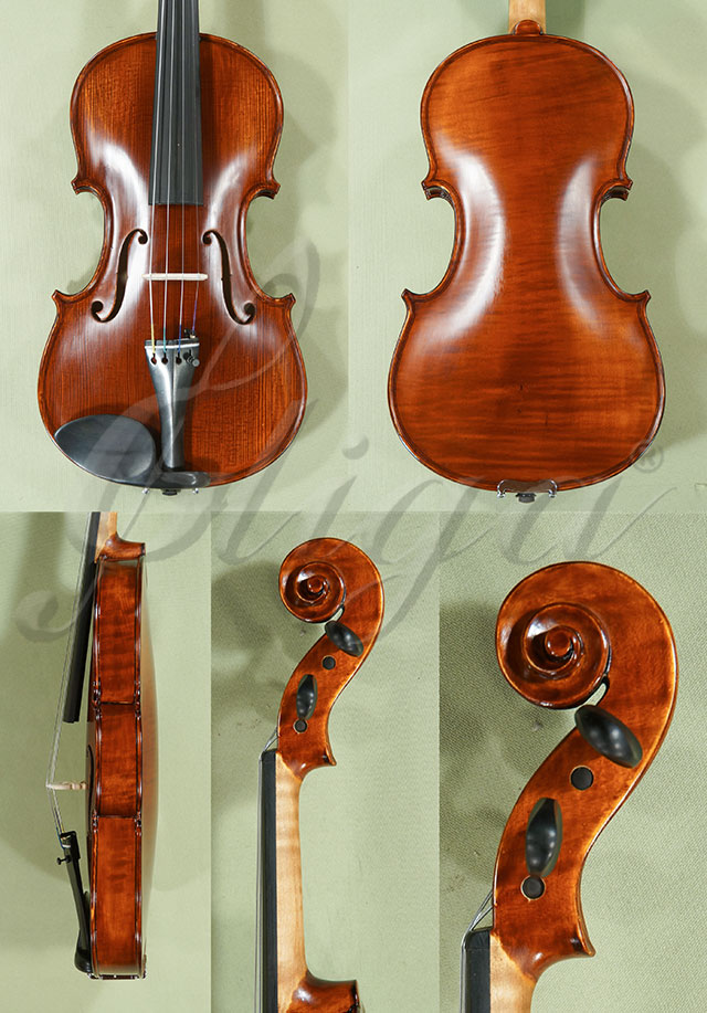Antiqued 4/4 WORKSHOP GEMS 1 One Piece Back Violin  * Code: C9919
